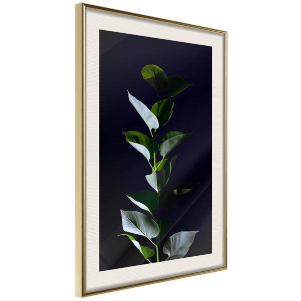 Poster - Floral Elegance  - goud passepartout