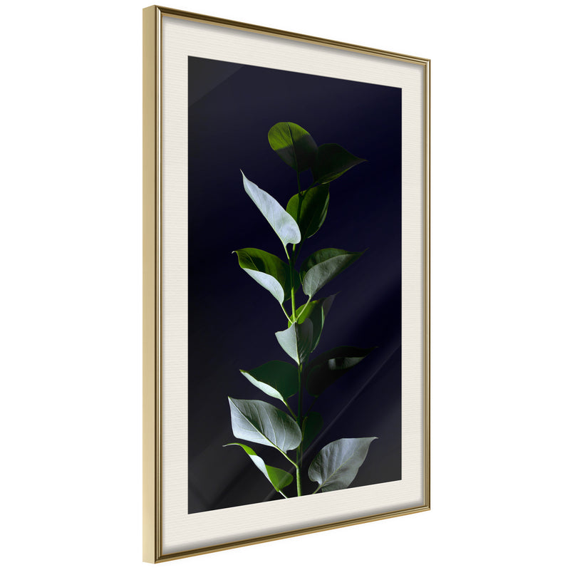 Poster - Floral Elegance  - goud passepartout