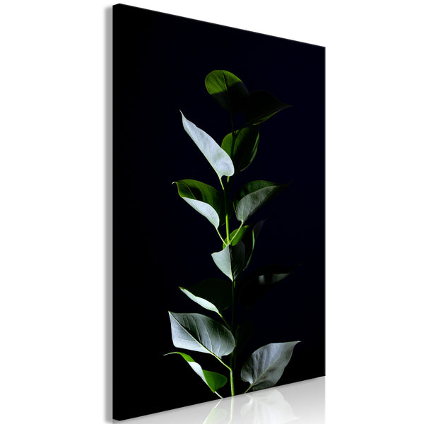 https://www.fotoartgeist.pl/ebaytemp/obrazy1/b-A-0484-b-a/b-A-0484-b-a-eb1.jpg