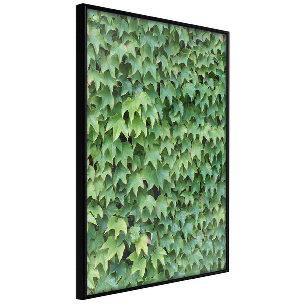 Poster - Hidden  - zwart