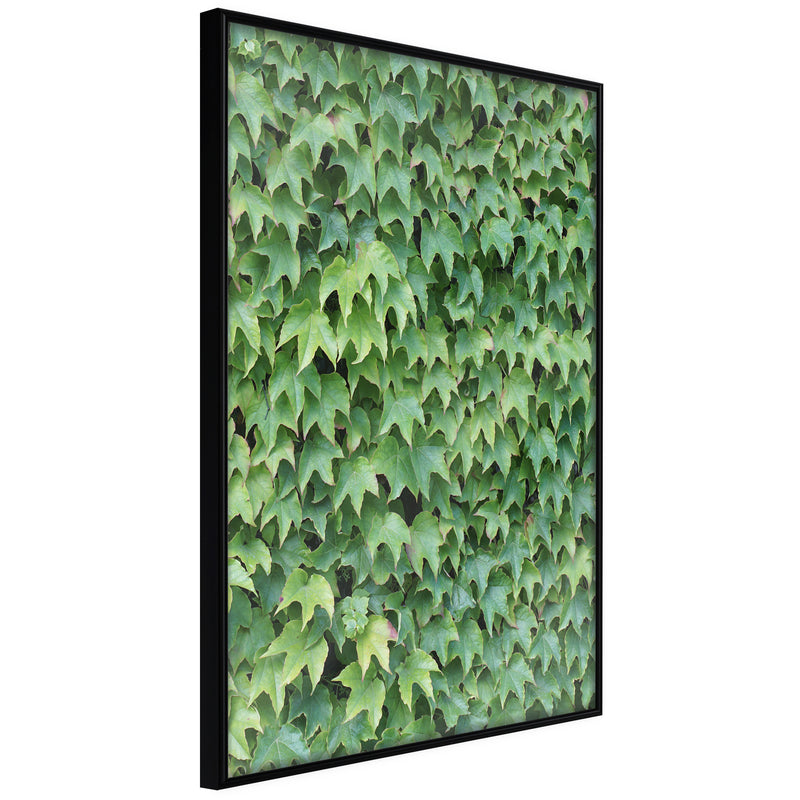 Poster - Hidden  - zwart