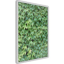 Poster - Hidden  - wit