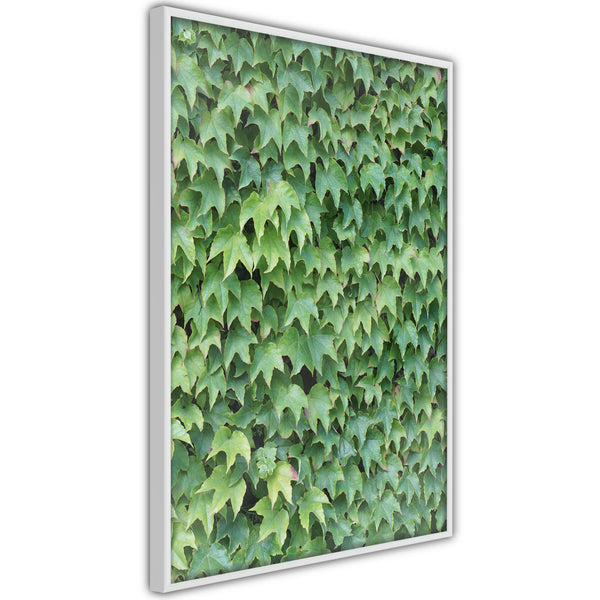 Poster - Hidden  - wit