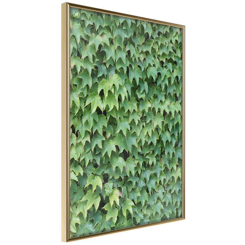 Poster - Hidden  - goud