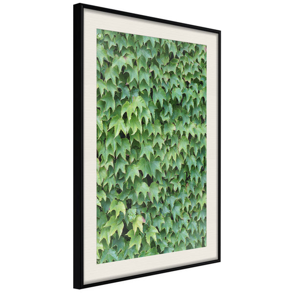 Poster - Hidden  - zwart passepartout
