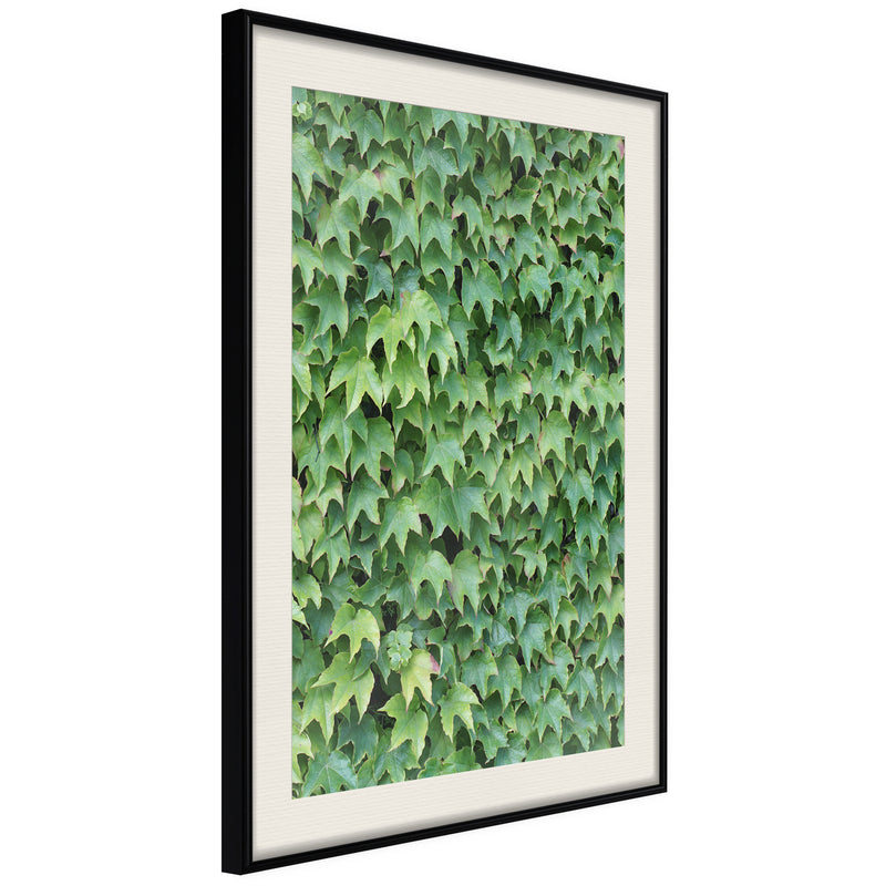 Poster - Hidden  - zwart passepartout