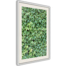 Poster - Hidden  - wit passepartout