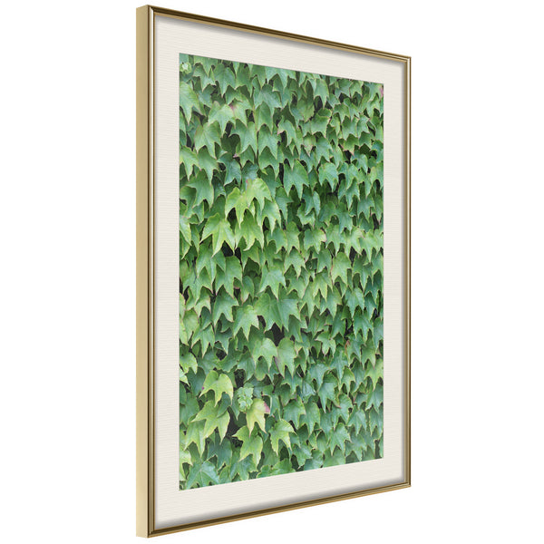 Poster - Hidden  - goud passepartout