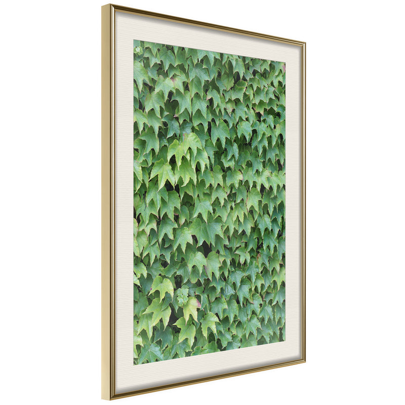 Poster - Hidden  - goud passepartout