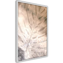 Poster - Monstera of Dreams  - wit