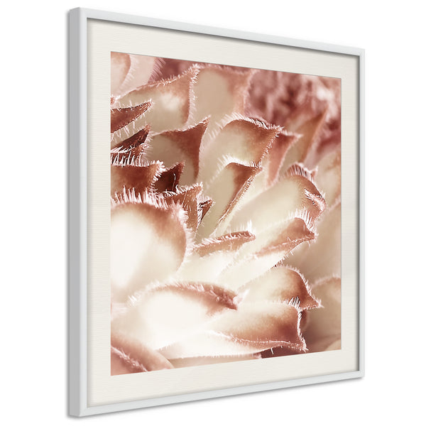 Poster - Floral Calyx  - wit passepartout