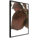 Poster - Burgundy Tilia Leaf  - zwart
