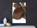 Poster - Burgundy Tilia Leaf  - zwart