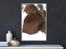 Poster - Burgundy Tilia Leaf  - wit