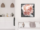 Poster - Delicate Rose  - zwart