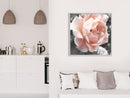 Poster - Delicate Rose  - wit