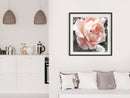 Poster - Delicate Rose  - zwart passepartout