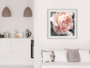 Poster - Delicate Rose  - wit passepartout