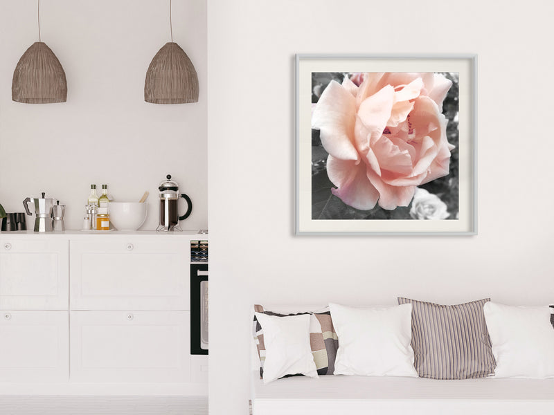Poster - Delicate Rose  - wit passepartout