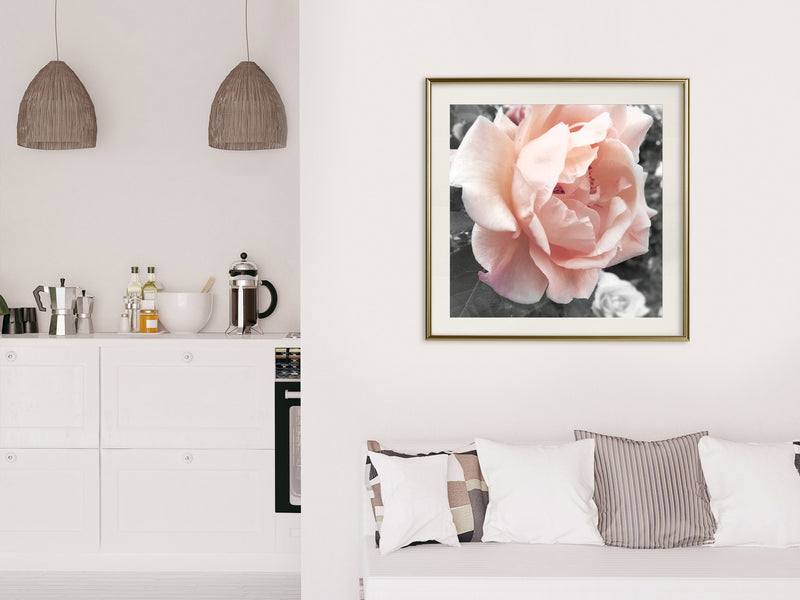 Poster - Delicate Rose  - goud passepartout