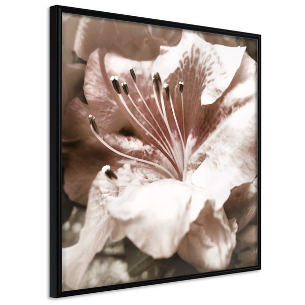Poster - Blissful Rest  - zwart