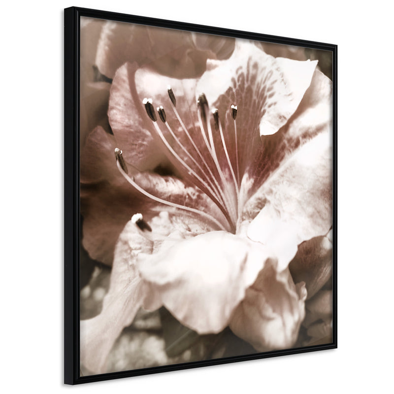 Poster - Blissful Rest  - zwart