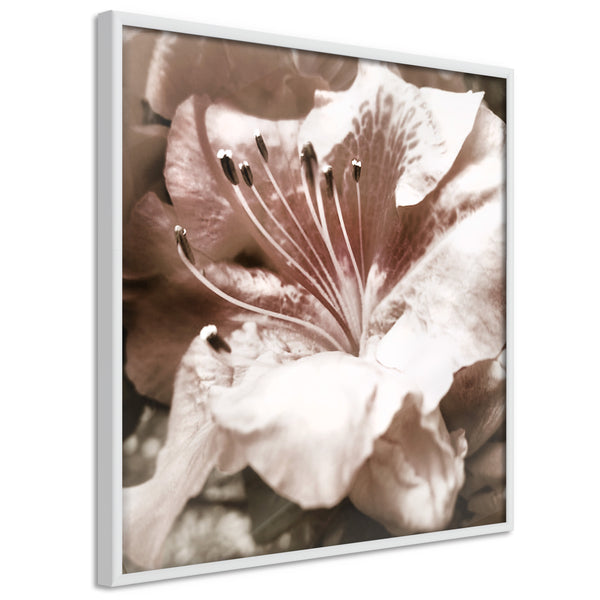 Poster - Blissful Rest  - wit