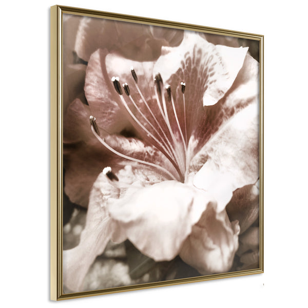 Poster - Blissful Rest  - goud