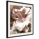 Poster - Blissful Rest  - zwart passepartout