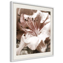 Poster - Blissful Rest  - wit passepartout