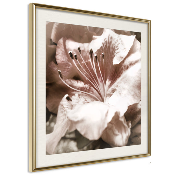 Poster - Blissful Rest  - goud passepartout