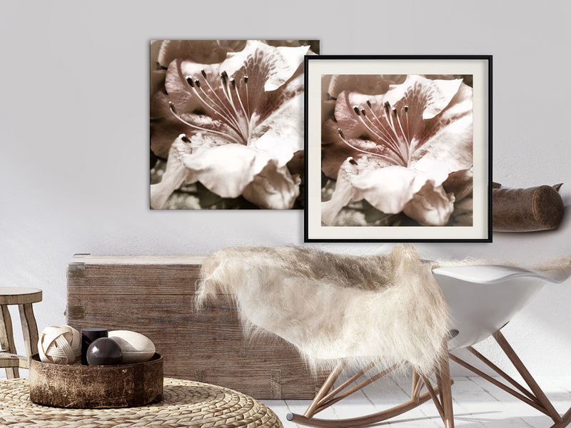 Poster - Blissful Rest  - zwart passepartout