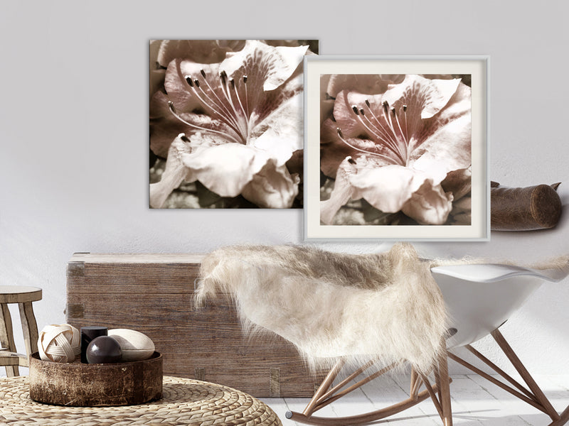 Poster - Blissful Rest  - wit passepartout