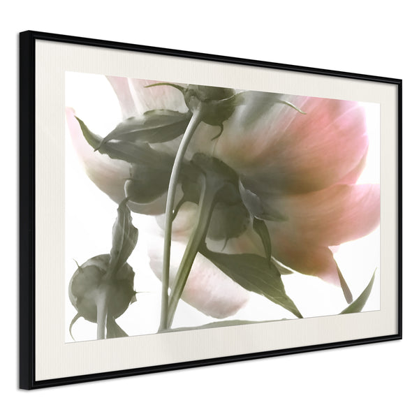 Poster - Under the Flower  - zwart passepartout