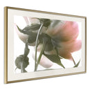 Poster - Under the Flower  - goud passepartout