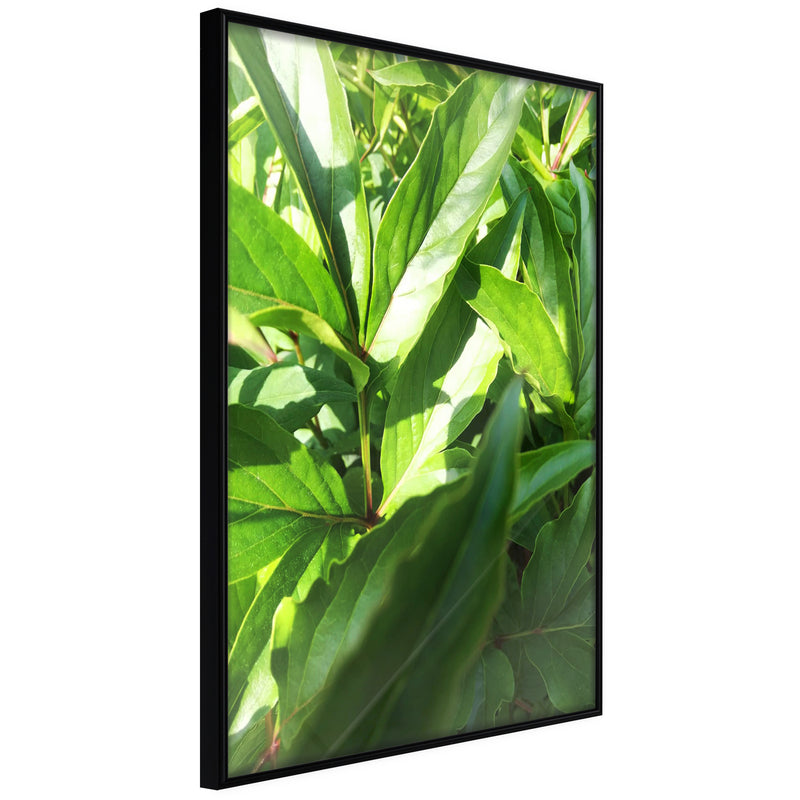 Poster - Somewhere in the Garden  - zwart