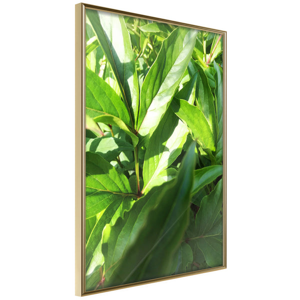 Poster - Somewhere in the Garden  - goud
