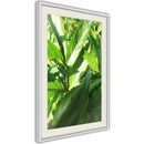 Poster - Somewhere in the Garden  - wit passepartout