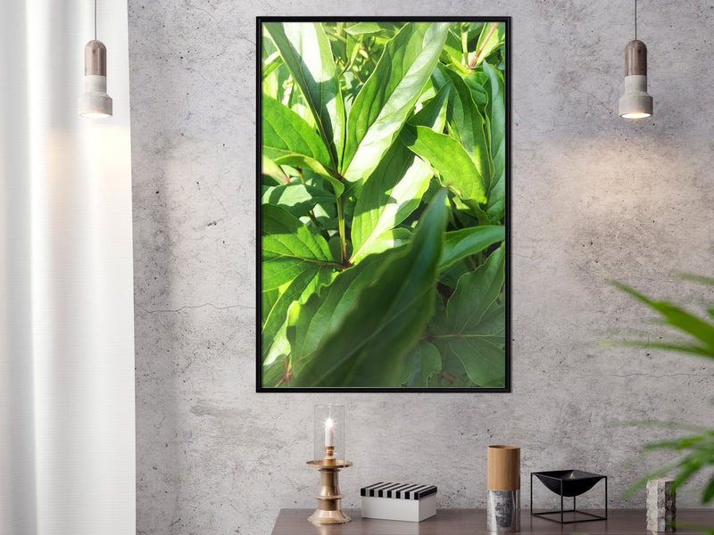 Poster - Somewhere in the Garden  - zwart