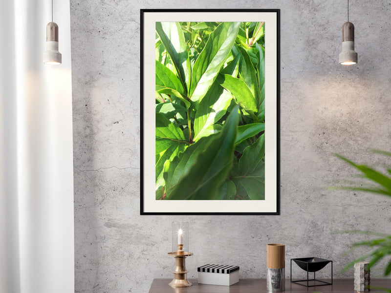 Poster - Somewhere in the Garden  - zwart passepartout