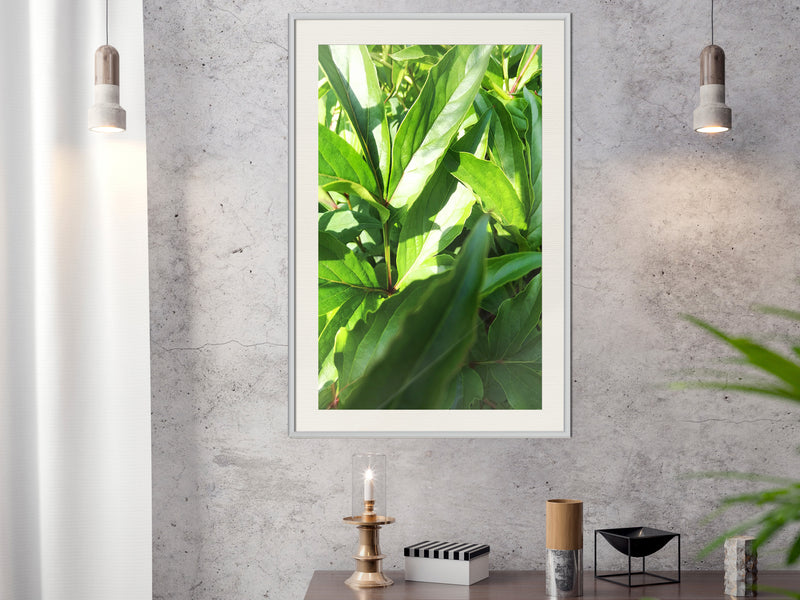 Poster - Somewhere in the Garden  - wit passepartout