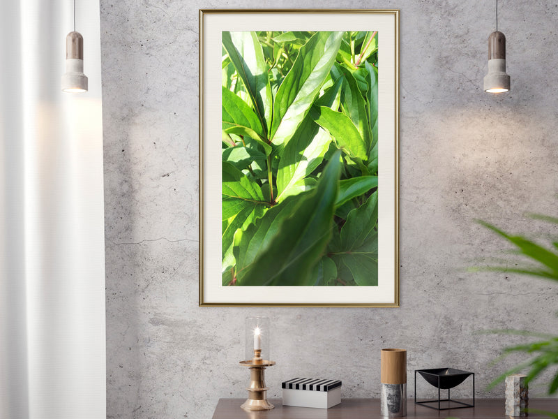 Poster - Somewhere in the Garden  - goud passepartout