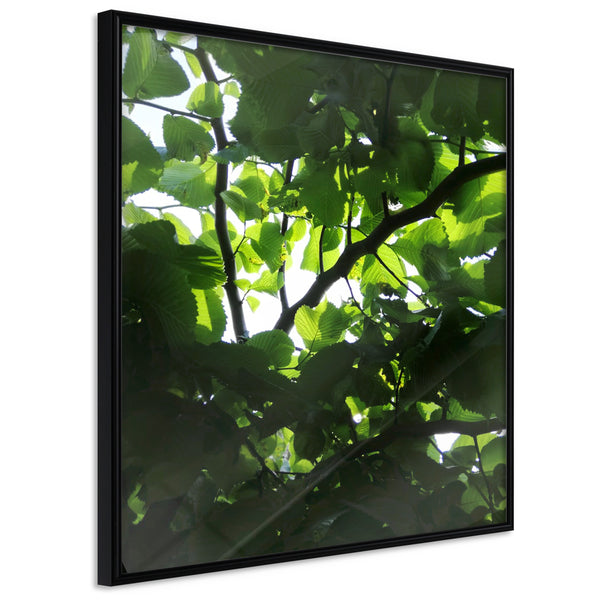 Poster - Under Cover of Leaves  - zwart