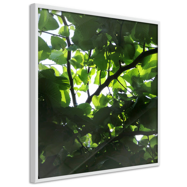Poster - Under Cover of Leaves  - wit