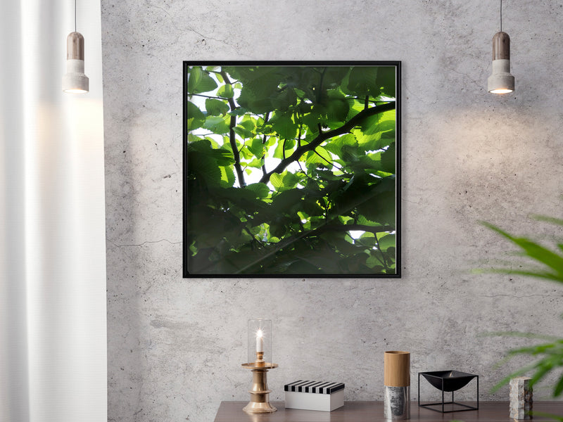 Poster - Under Cover of Leaves  - zwart