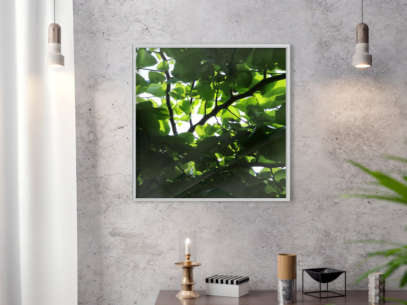Poster - Under Cover of Leaves  - wit