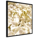 Poster - Soothing Flowers  - zwart