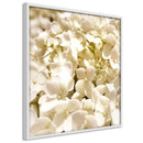 Poster - Soothing Flowers  - wit