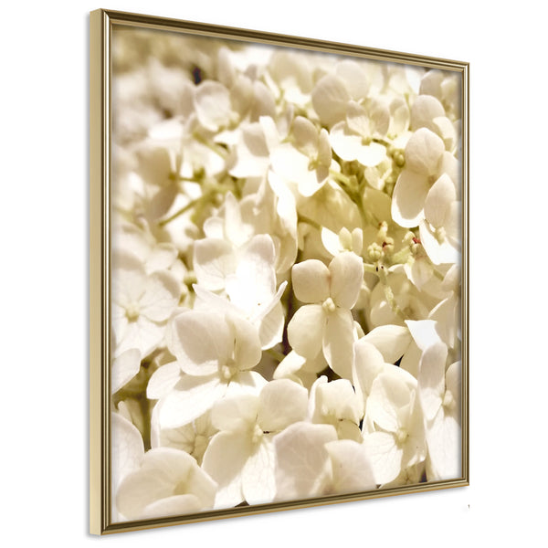 Poster - Soothing Flowers  - goud