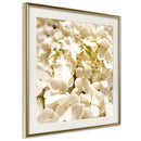 Poster - Soothing Flowers  - goud passepartout